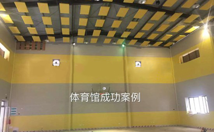 廣州室內體育館吸音板工程